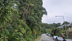 Sembawang Hills Estate (D20), Terrace #546679411
